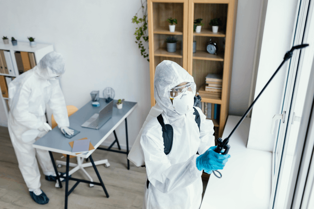 Companies Managing Ant Infestations in Arizona Effectively